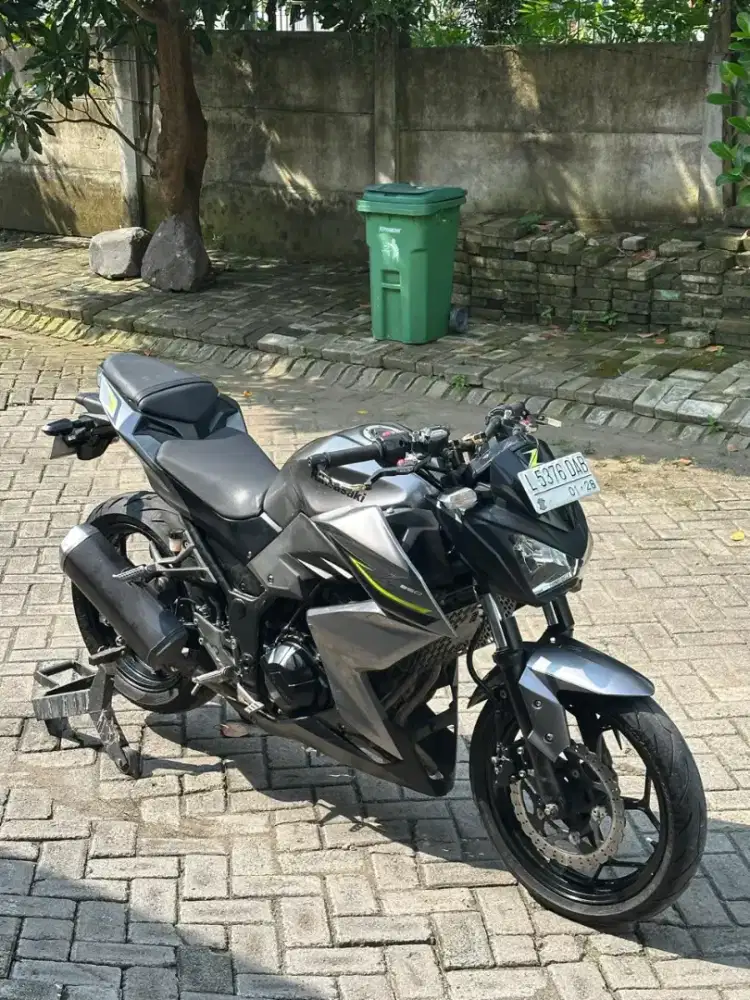 Kawasaki Z250 th 2017