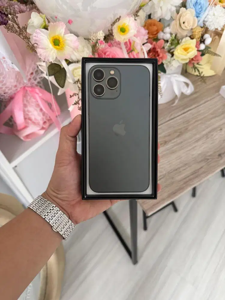 iPhone 13 pm 128gb (Ex Inter LLA)