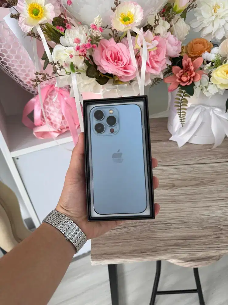 iPhone 13 Pro 128gb (Ex Inter LLA)