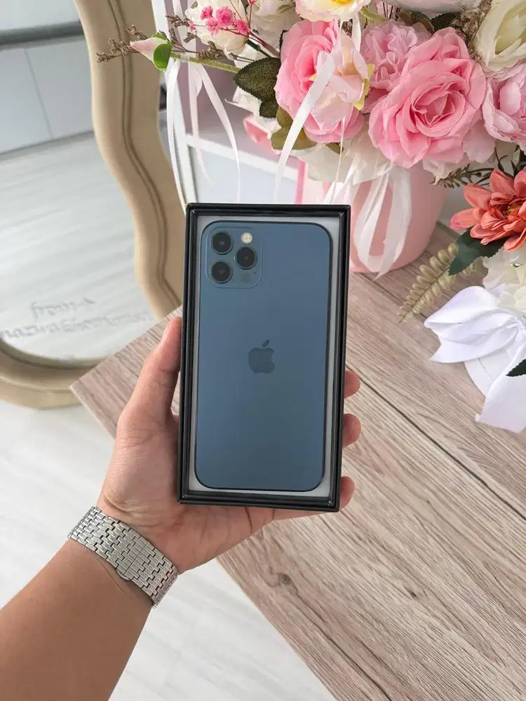 iPhone 12 pro 128gb (Ex Inter LLA)