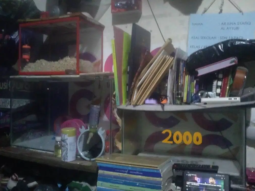 Jual Aquarium Eks Ikan Toman