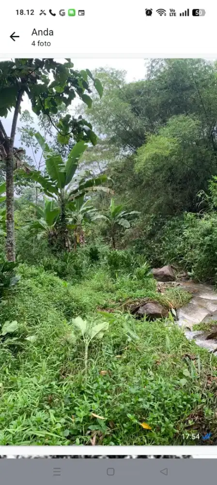 Dijual Cepat Murah tanah kebun luas 1000 meter hanya 80 juta saja