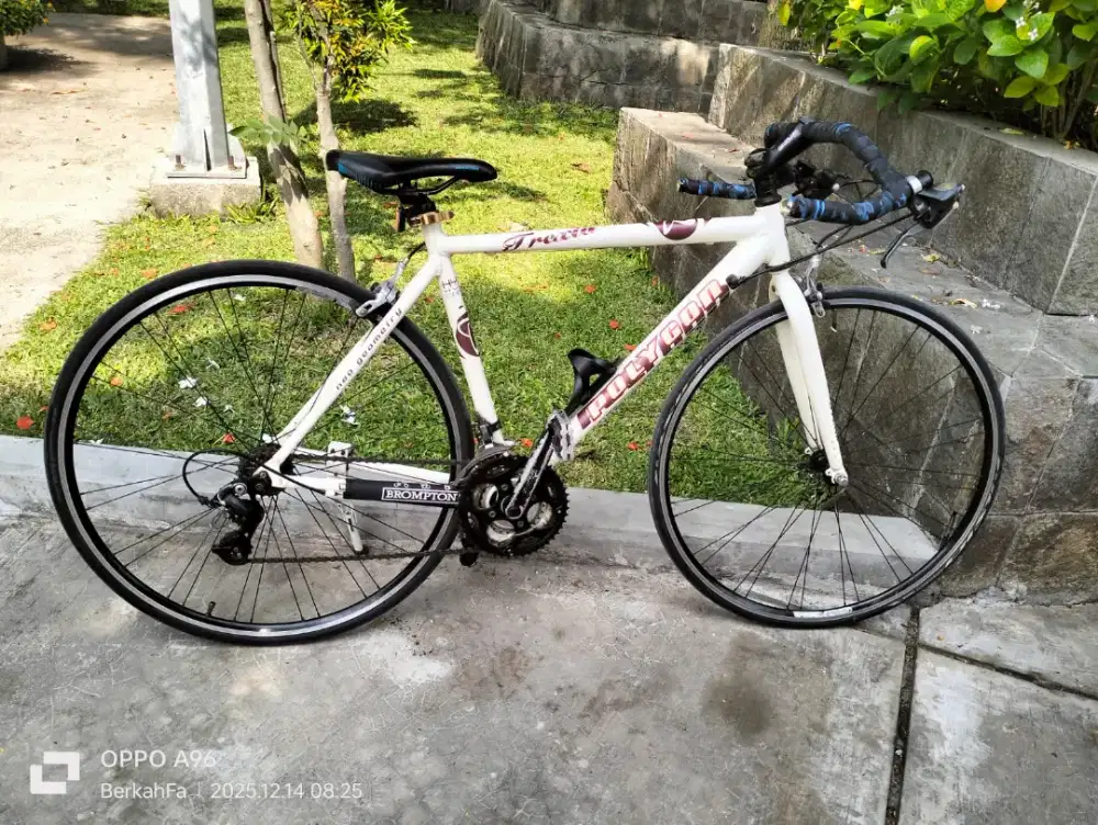 Polygon Hybrid Trexia