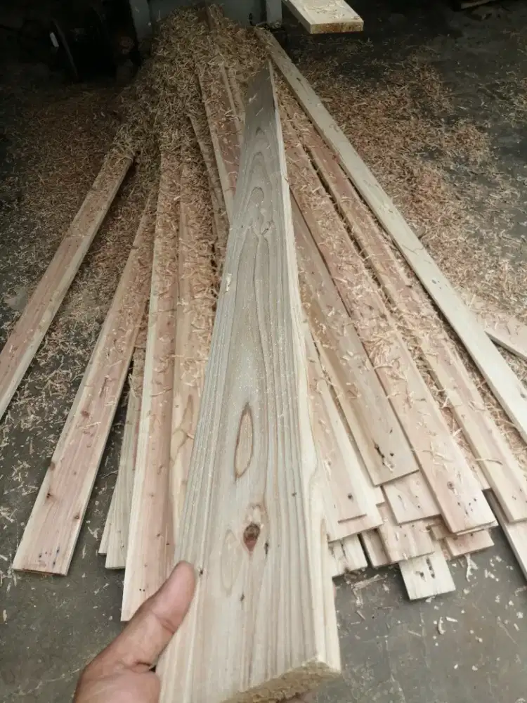 Papan Jati Belanda Serut 1.5x10x200cm