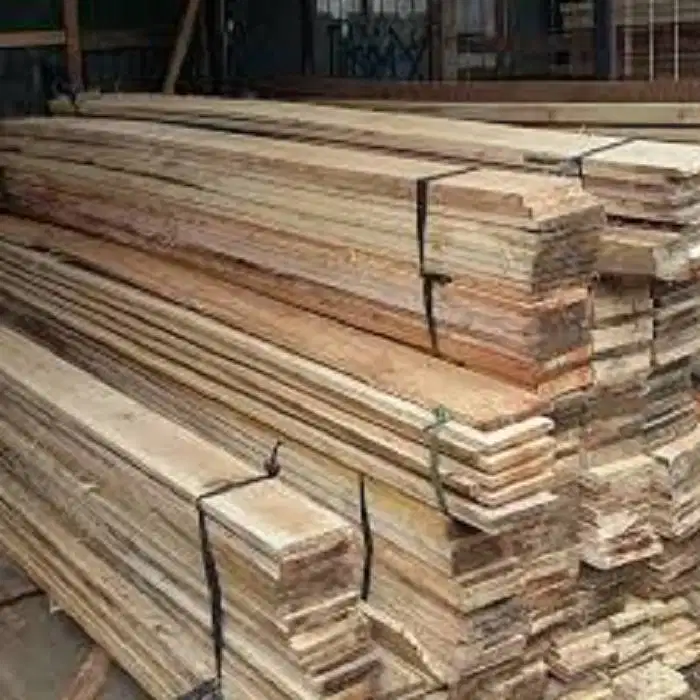 DI BUTUHKAN TENAGA AKUNTING YANG MENGERTI PAJAK