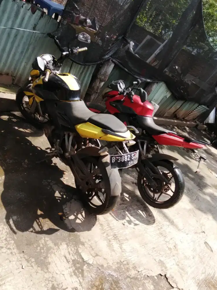 Kawasaki pulsar 200ns