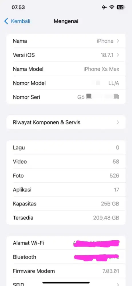 iPhone Xs Max 256Gb