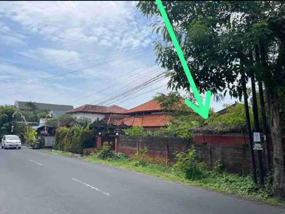 tanah bagus pinggir jalan raya aspal Babakan canggu cocok untuk segala jenis usaha