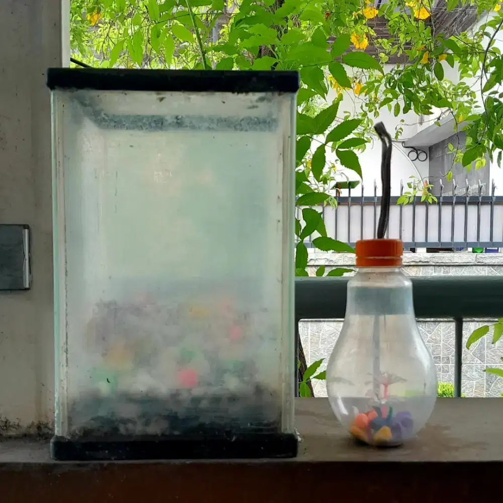 Aquarium kaca nisso bonus aquarium botol pasir malang batu warna warni