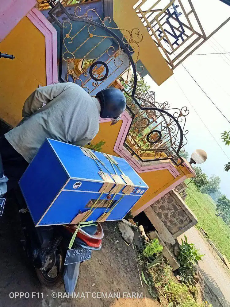 Mesin penetas telur otomatis