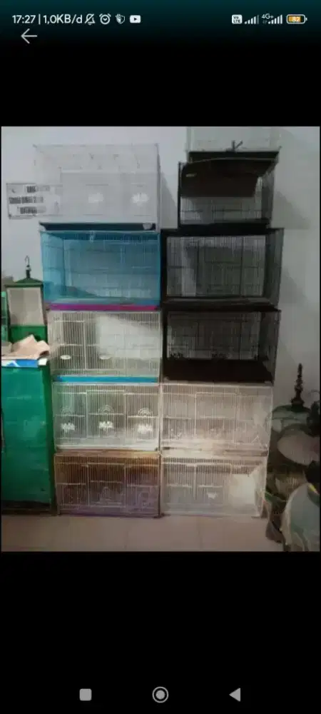 Kandang kucing. Anjing atau kelinci