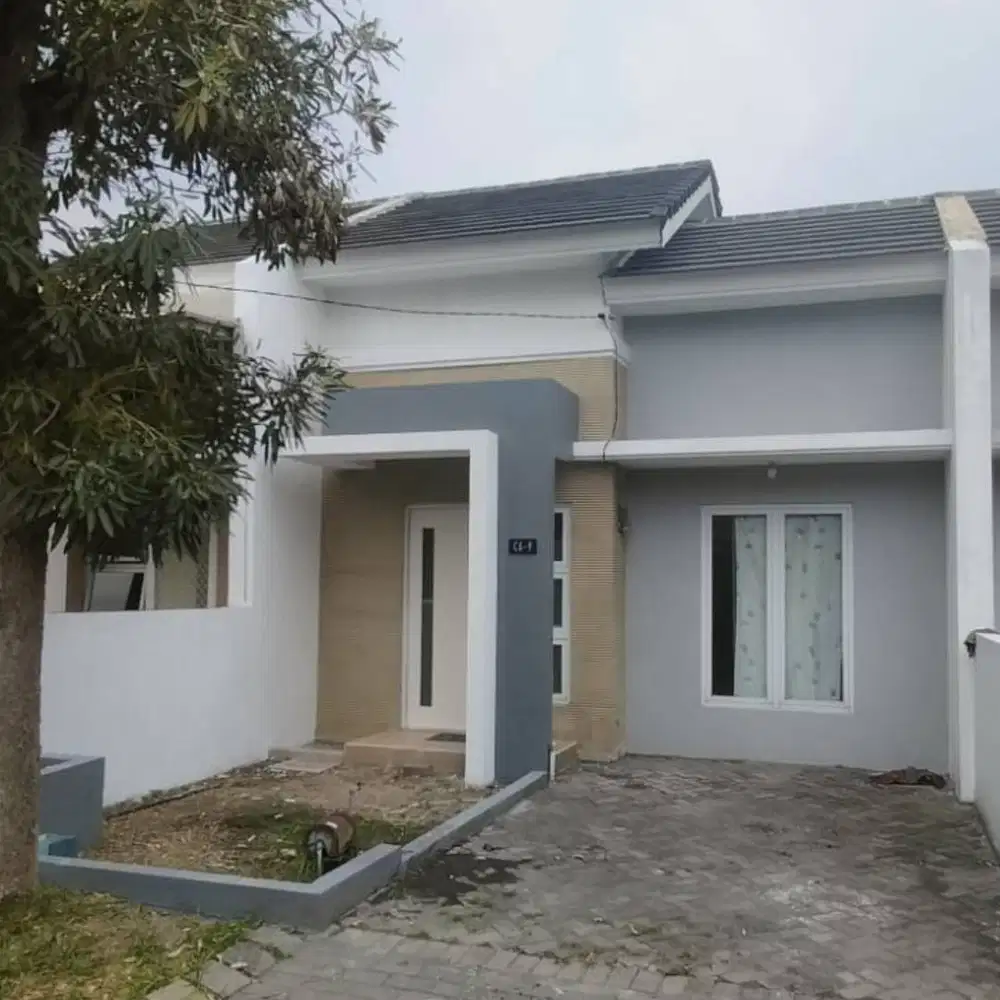 Disewakan Rumah nyaman keluarga