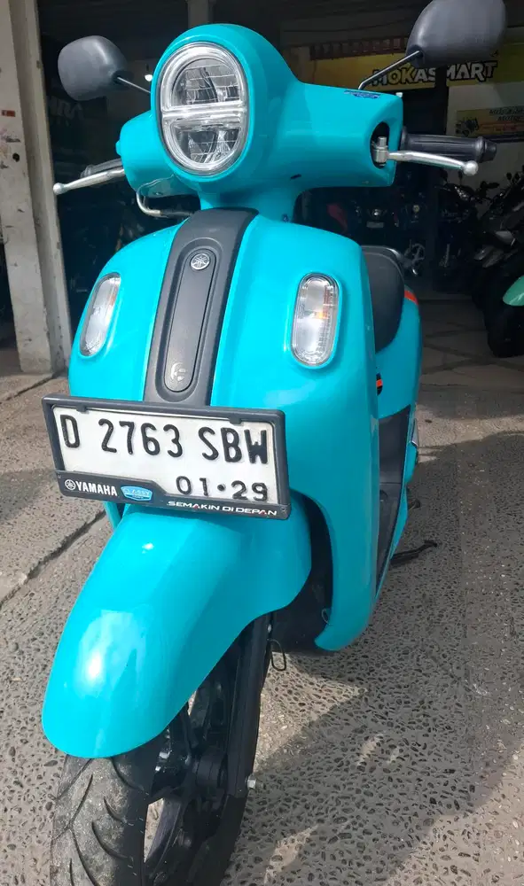 Fazzio 2023 prmakaian jan 2024