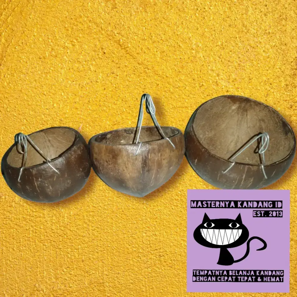 DIJUAL BORONGAN 100 CEPUK BATOK KELAPA