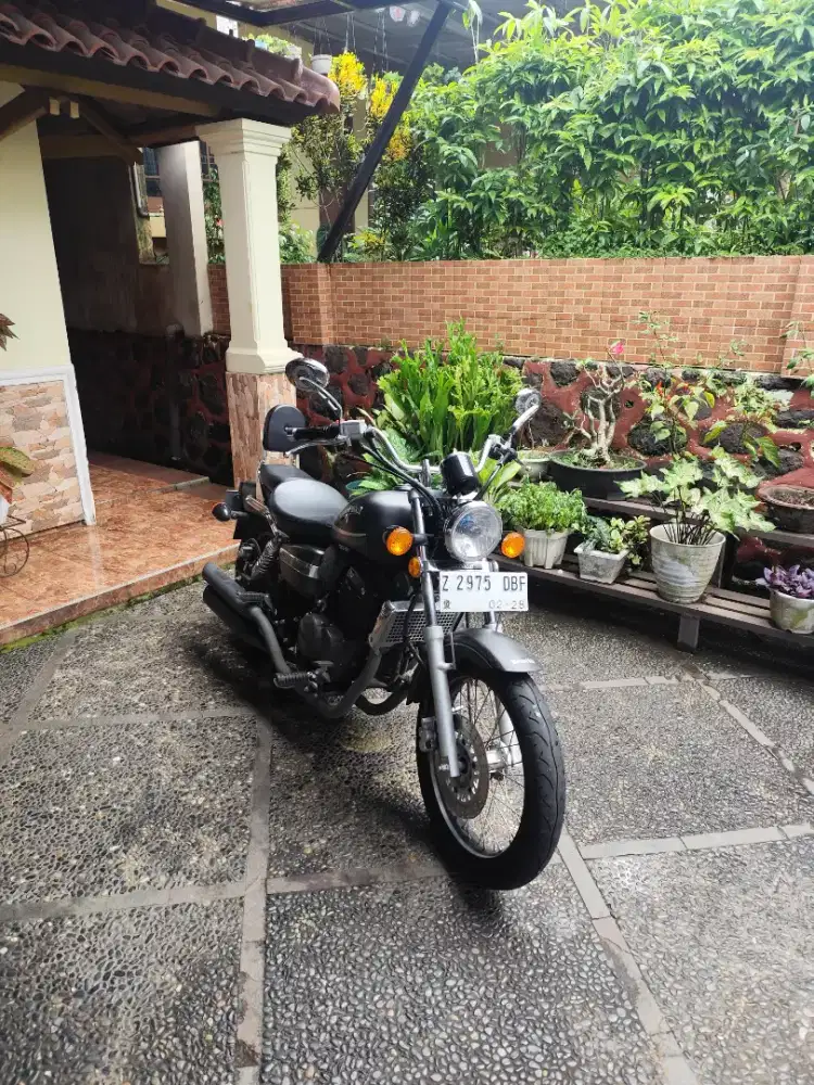 Benneli Patagonian Eagle 2023 Injeksi