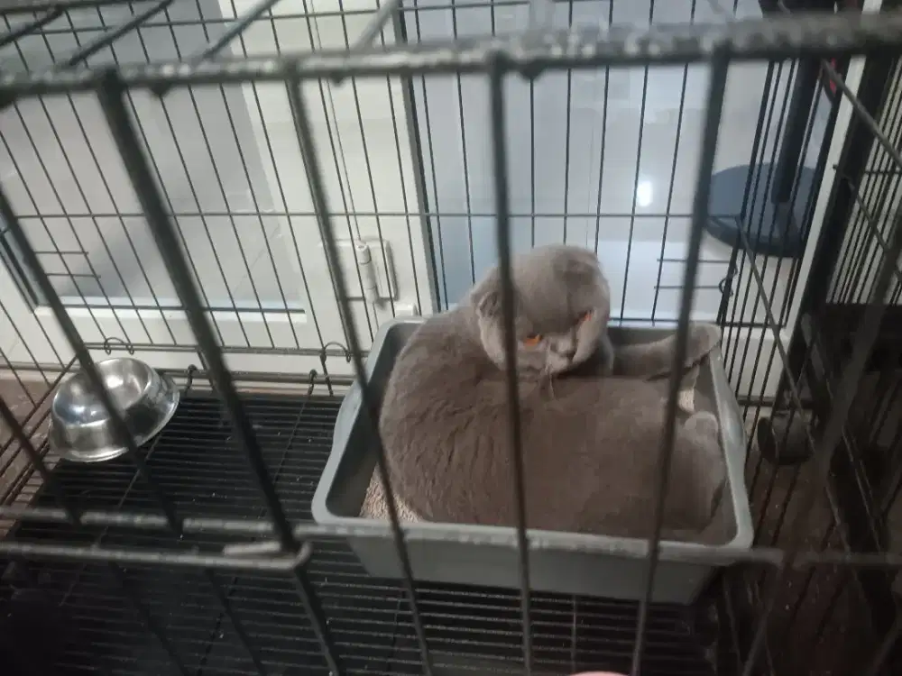 Sayang anak sehat semua