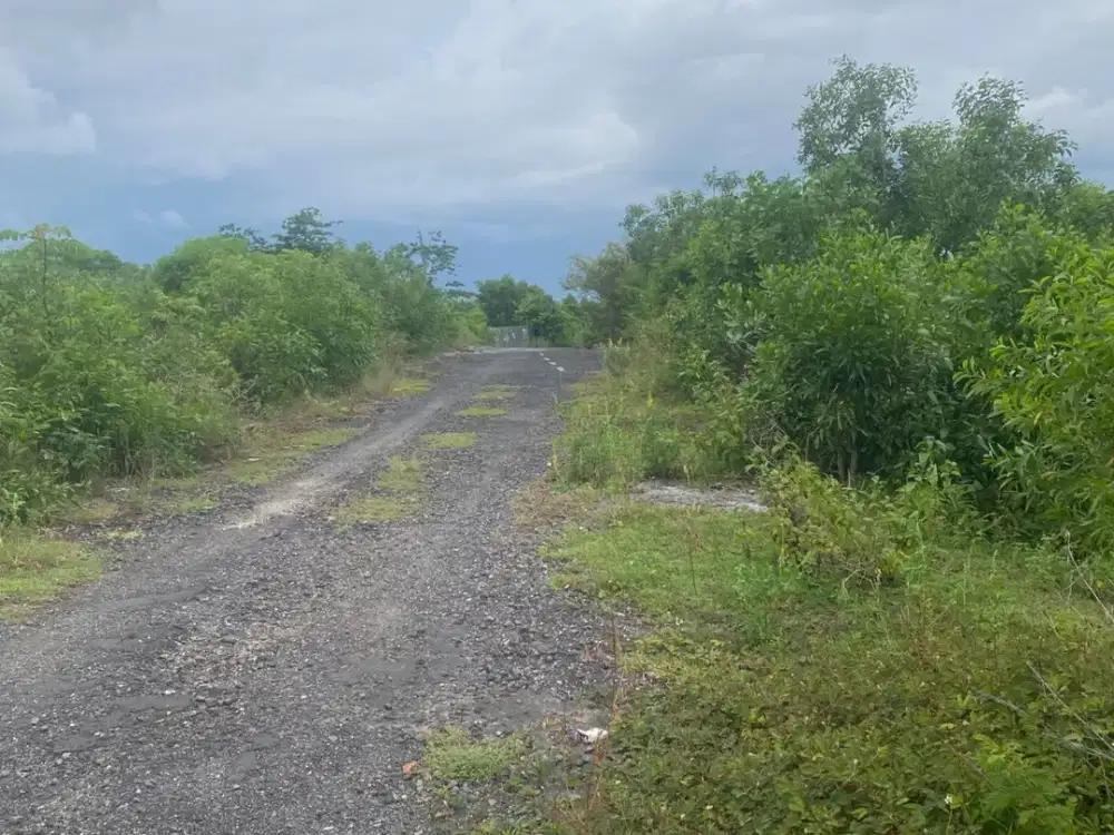 DIJUAL Tanah Murah area tundun penyu ungasan Bali