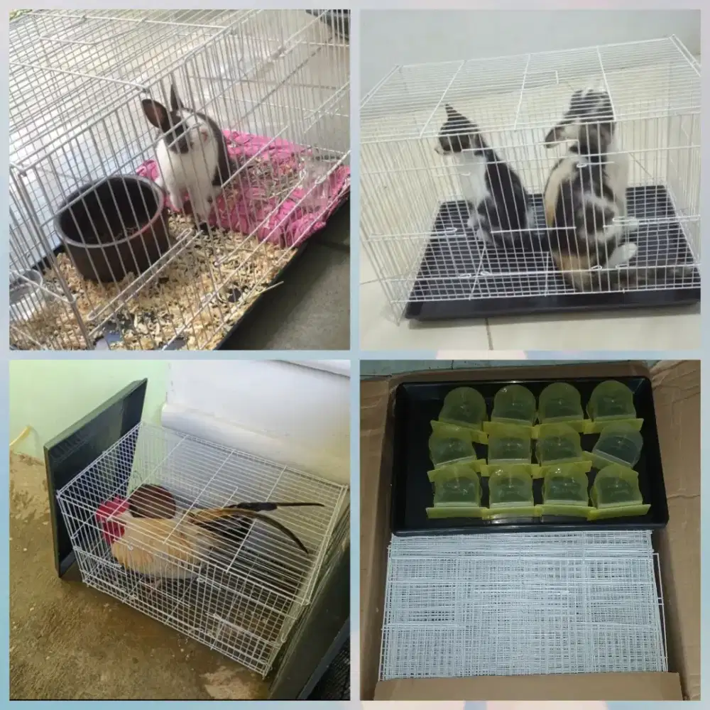 DIJUAL BORONGAN 8 KANDANG BESI MEDIUM WARNA PUTIH