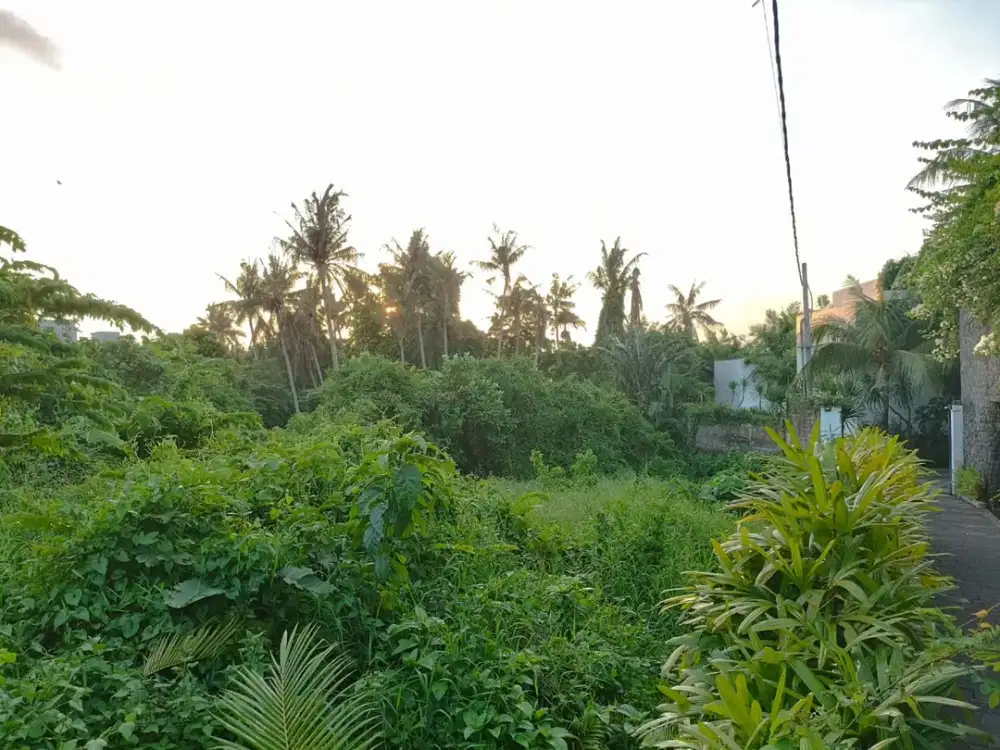 Dijual tanah di jalan utama pantai pererenan canggu.