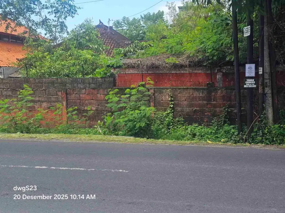 dijual tanah premium view sawah canggu