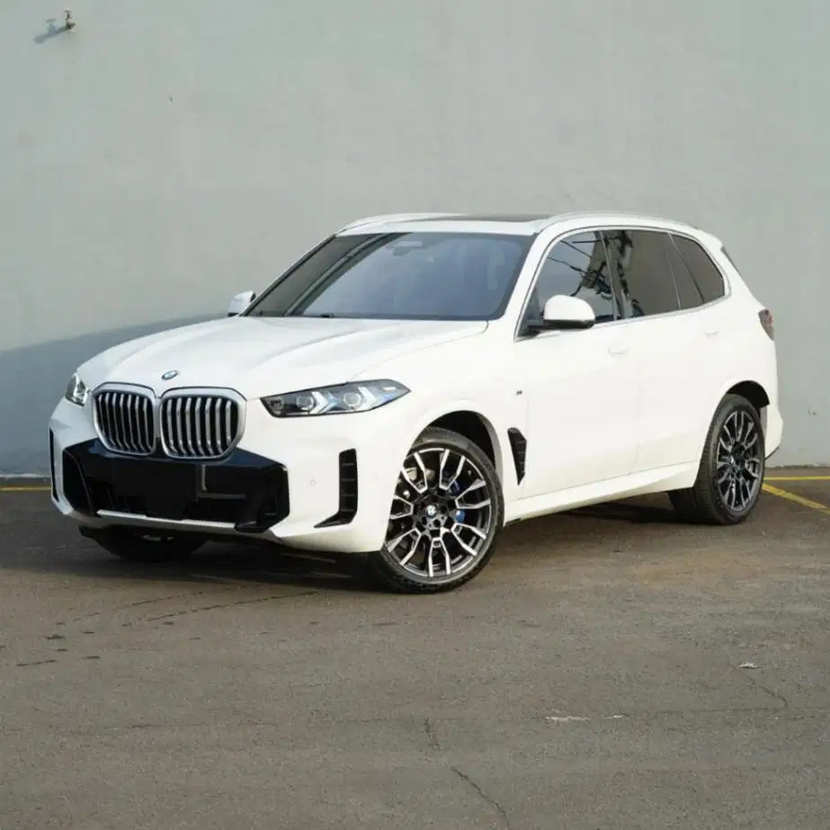 BMW X5 2023 pemakaian 2024