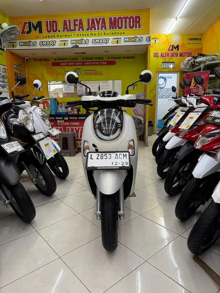 New Scoopy genetice tahun 2024