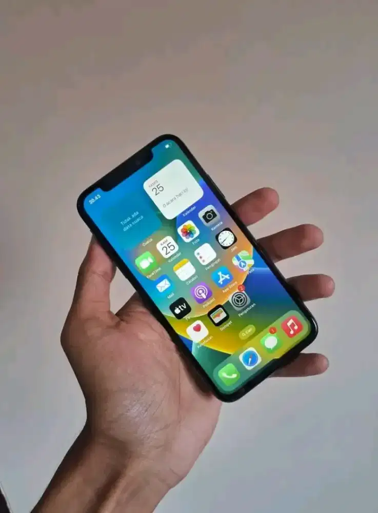 Iphone x 256gb inter all operator