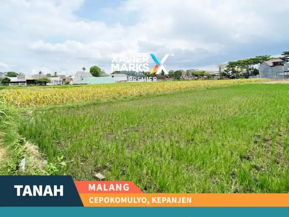 Dijamin Murah Dijual Tanah Lahan Pertanian di Cepokomulyo Kepanjen Malang