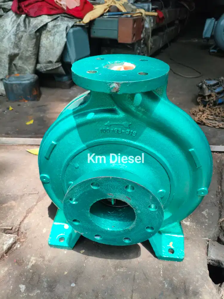 Southern Cross 100x65-315 Centrifugal Pump / Southern cross 100x65-315