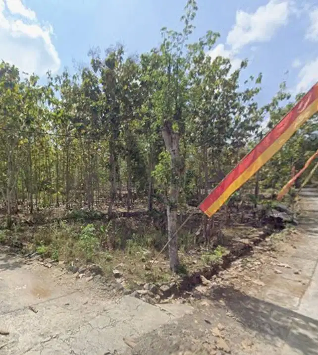 Tanah Kosong di Budegan 2, Piyaman, Wonosari, Kabupaten Gunung Kidul