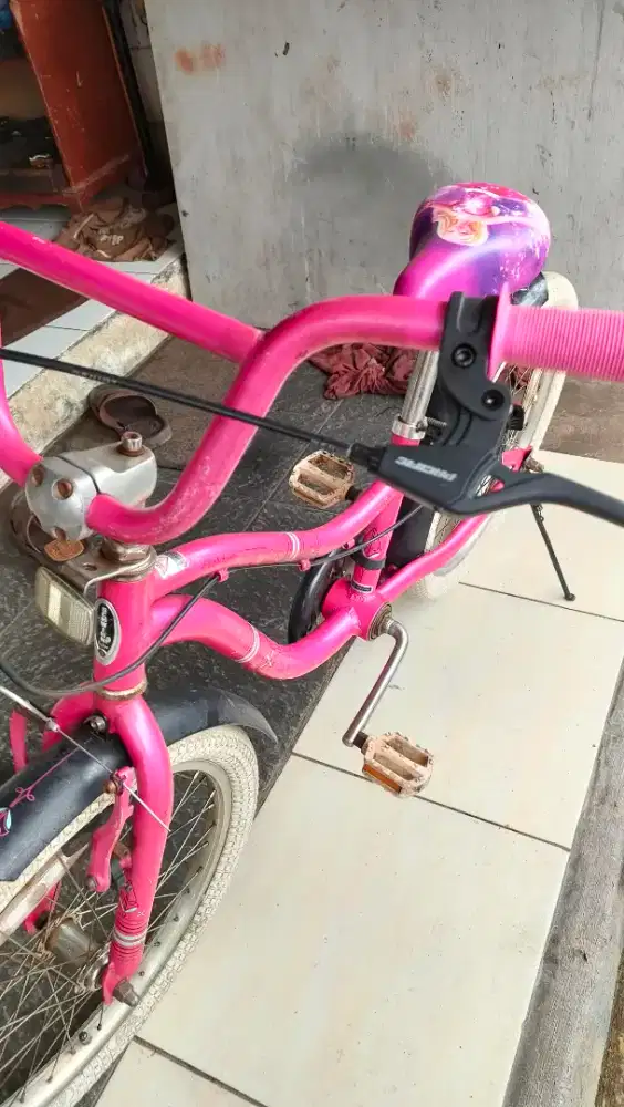 Sepeda anak cewe r 20 siap gowes merk Schwinn  350rb semua normal