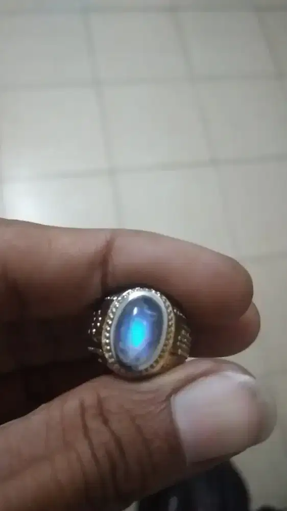 Duri bulan ceylon air laut srilanka