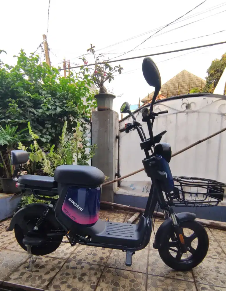 Sepeda Listrik Selis Rinjani (2024)