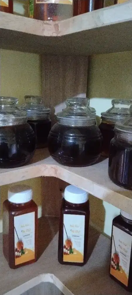 MADU ASLI LEBAH ODENG