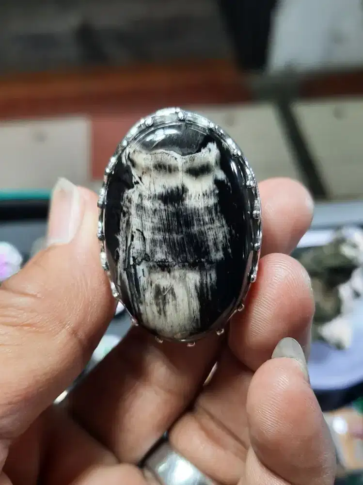 Batu Gambar  Burung Hantu Salju