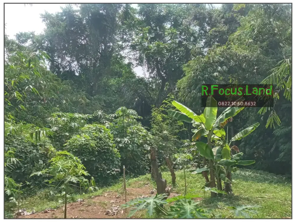 Tanah Lahan MURAH 1,7jt/m Luas 4300 dekat serpong