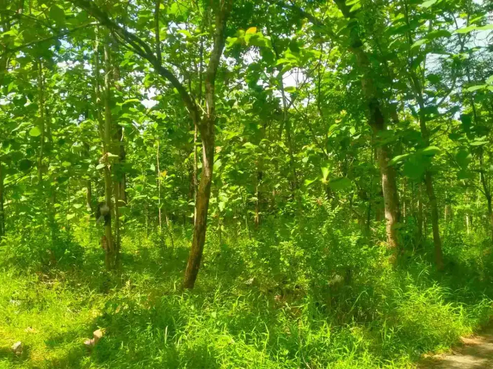 jual tanah Karanganyar Deket kota