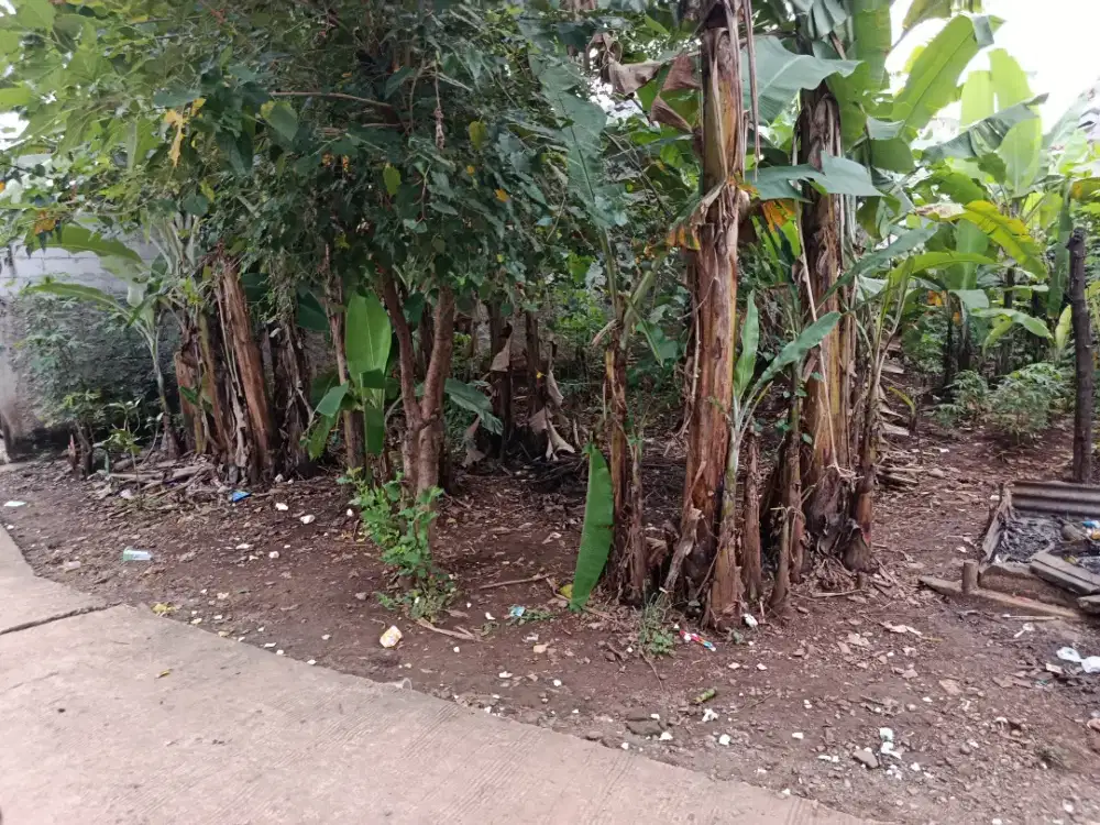 Tanah diseberang Superindo Jl Haji Longkot Jatiluhur Jatiasih