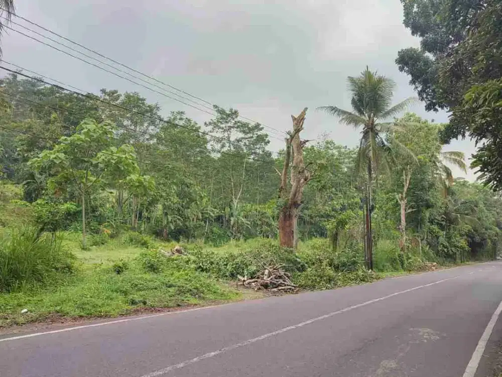 Dijual Tanah di Jln Raya Wringin Bondowoso