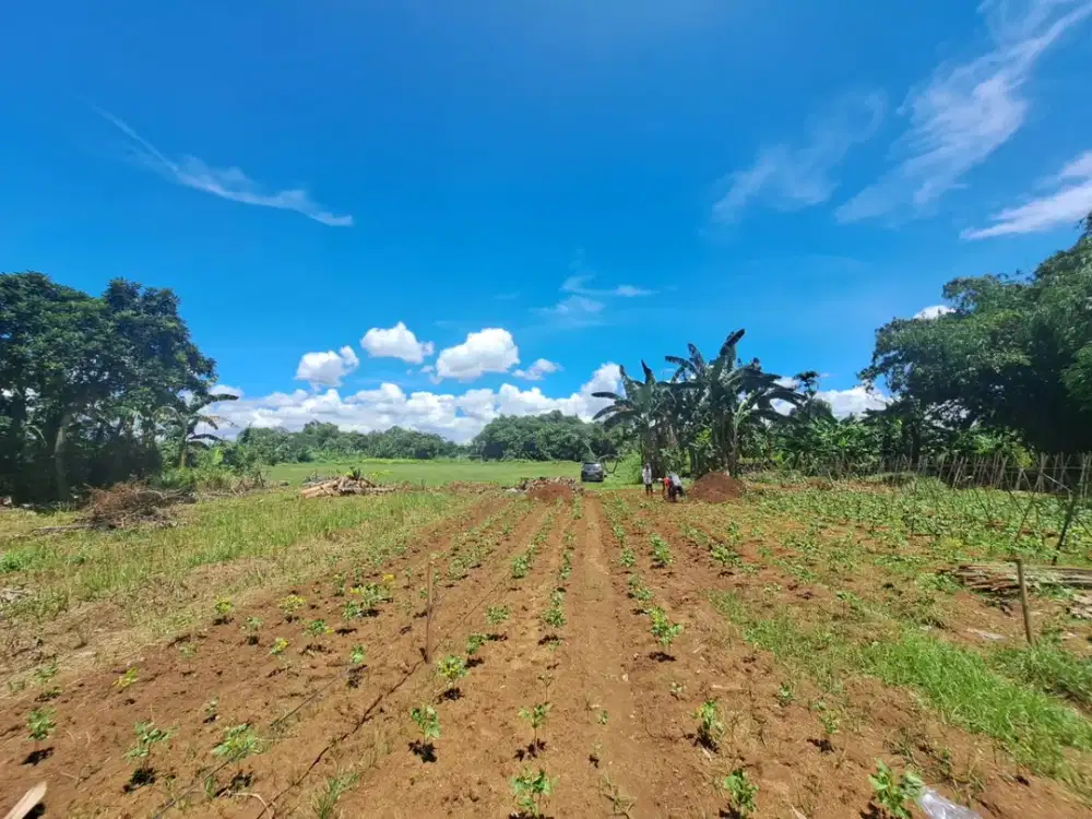 Akses Dekat Gerbang Tol Legok, Kavling 1 Jt-an/m2, SHM