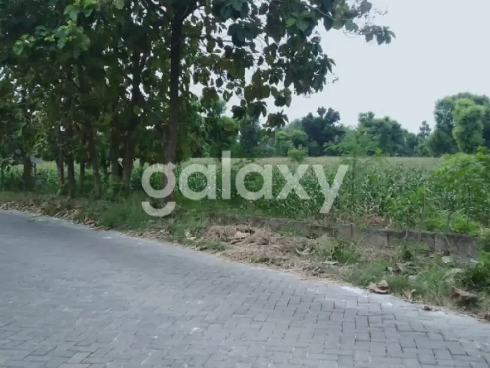 Tanah 4960 m2 di Desa Tlogosadang Paciran Lamongan GMK02773