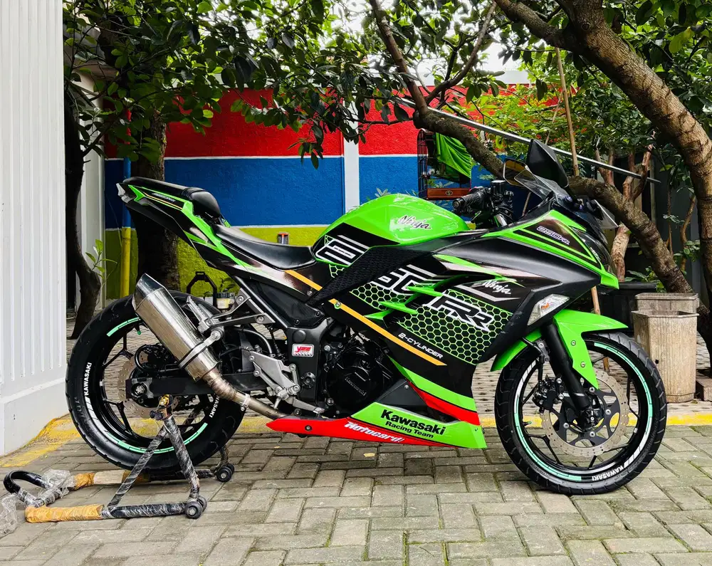 Kawasaki ninja 250 fi
