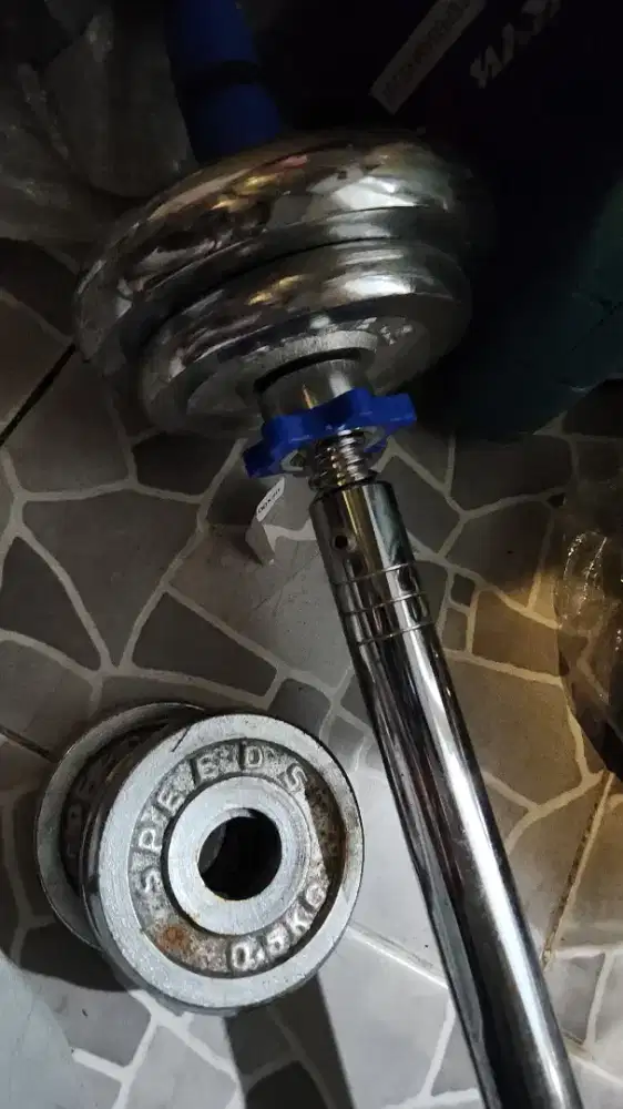 Dumble Crome anti karat 40kg (20 x2)