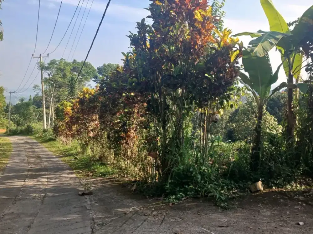 Dijual tanah Di pancawati Kab. Bogor