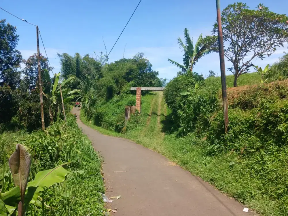 DIJUAL TANAH DI PASIRMUNCANG KEC. MEGAMENDUNG/CISARUA BOGOR