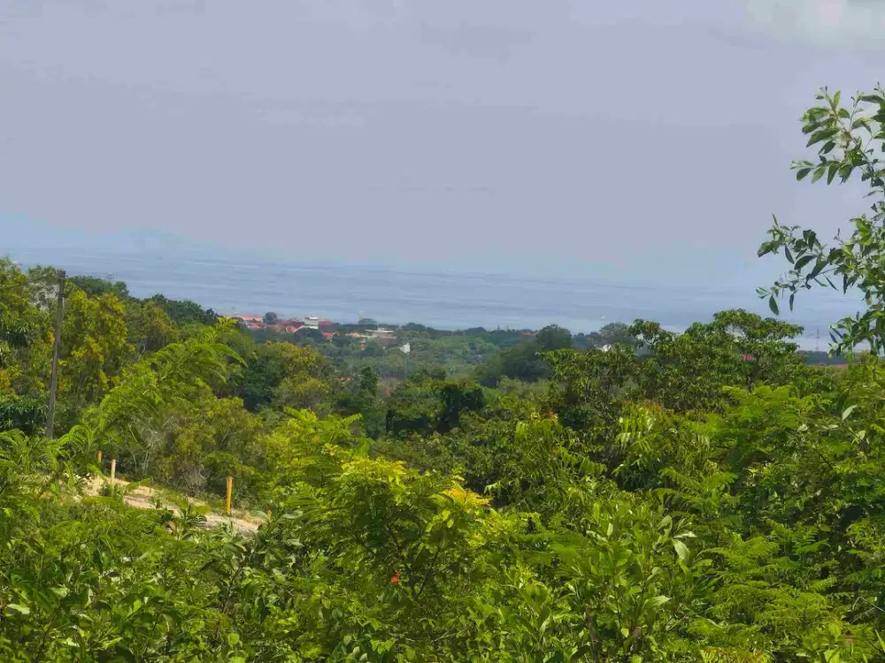 dijual tanah ocean view ( 6,19 are )  kawasan beranda bukit Kutuh Kuta Selatan Badung Bali