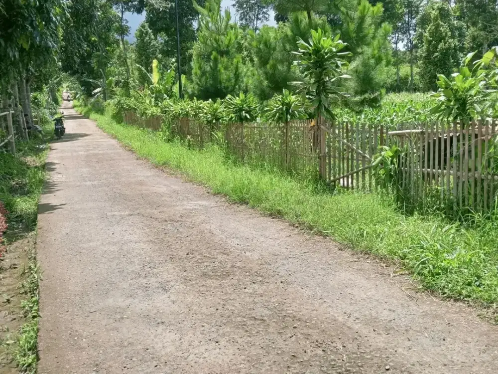 DIJUAL TANAH KEBUN DI TAPOS CIBEDUG CIAWI BOGOR