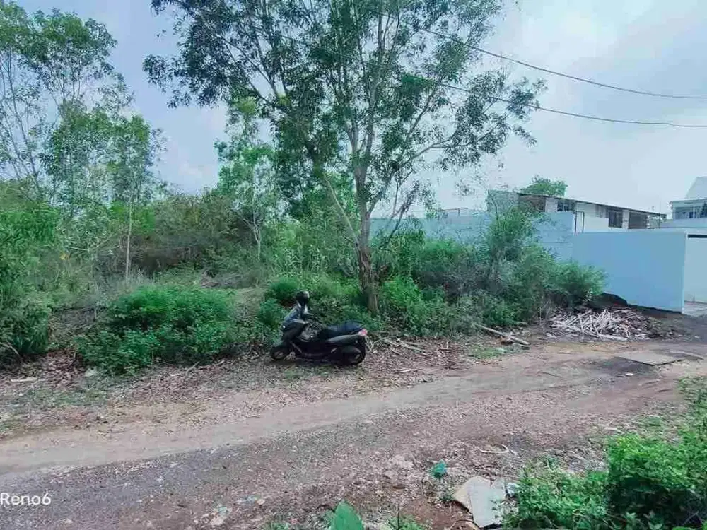 dijual tanah 1,05 are dekat politeknik & kampus unud jimbaran IDR 750 juta per are