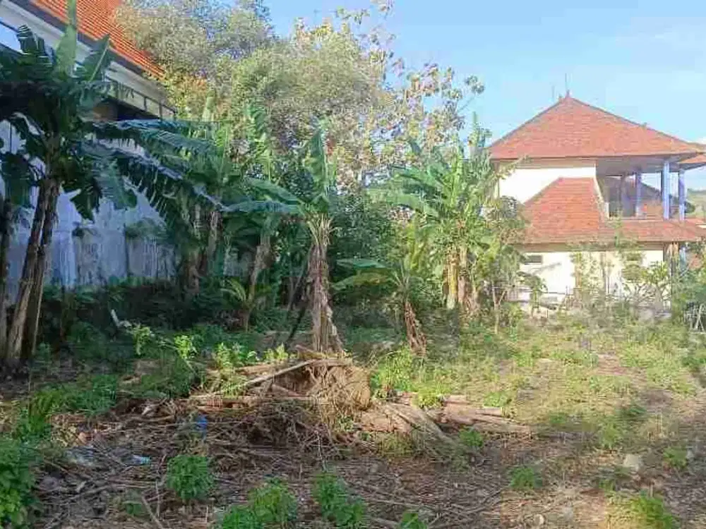 disewakan tanah 5  are kawasan Padang Padang Beach Pecatu Badung Bali