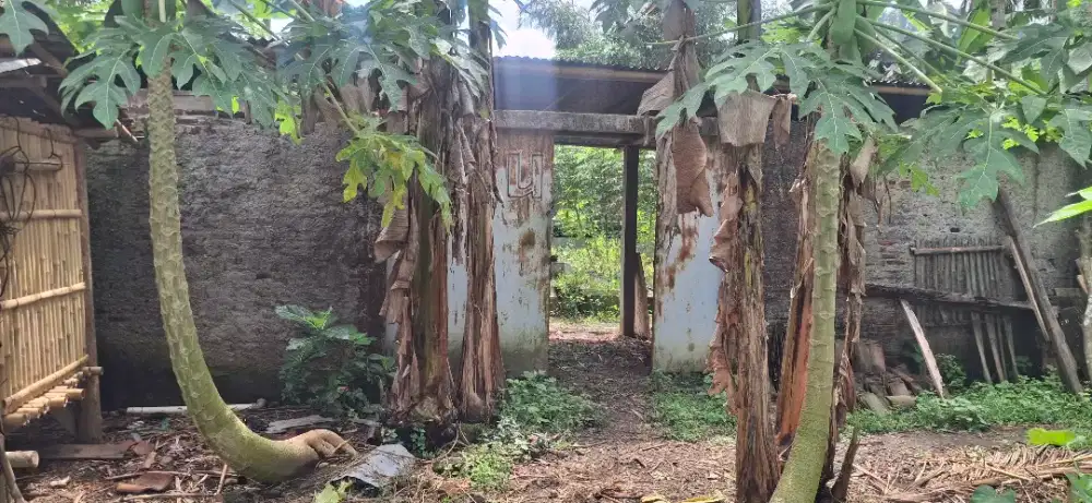 Jual kandang sapi kapasitas 40 ekor